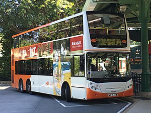 Hong Kong Disneyland Facts for Kids
