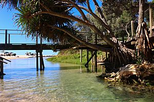 Australia, Queensland, Fraser Island, Eli Creek, mouth