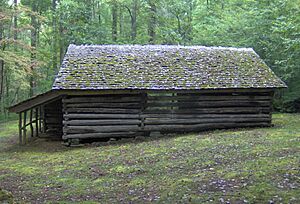 Barn-tyson-mccarter-tn1