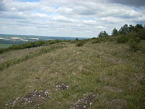 Beacon Hill fort 1