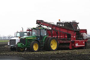 Beet harvest 2009