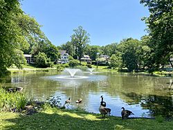 Black Ink Pond in Roslyn Estates on June 5, 2021.