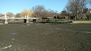 Boston Public Garden IMG 20180301 101718164