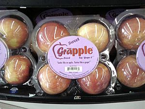 Box of Grāpples in a supermarket - 20080312
