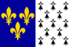 Flag of Brest