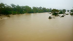Burnett River in flood2