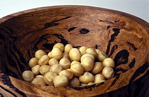 CSIRO ScienceImage 3083 CSIRO has identified the ideal macadamia preferred by consumers