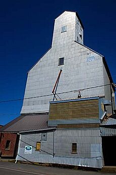 Carlton Grain Elevator (Yamhill County, Oregon scenic images) (yamDA0137)