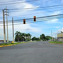 Carretera PR-29, Bayamón, Puerto Rico