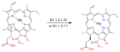 Chlorophillide synthesis