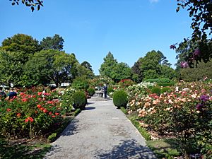 Christchurch Botanic Gardens 08