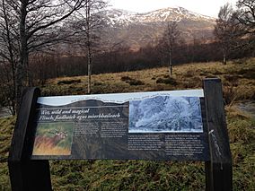 An information board at Creag Meagaidh National Nature Reserve