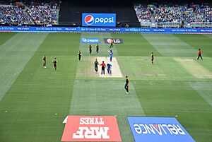 Cricket World Cup 2015 (16619154075)