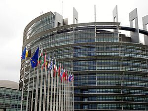 Drapeaux du parlement européen, Strasbourg juillet 2019