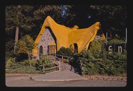 Enchanted Forest, Turner, Oregon LCCN2017708940