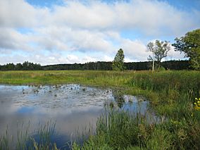 Father Hennepin MNSP Marsh.JPG