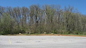 Fort Star from high school parking lot