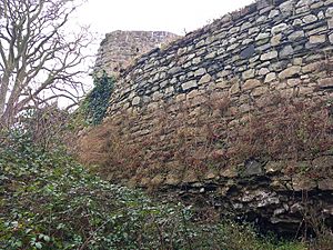 Fosse and outer wall of Castleknock Castle