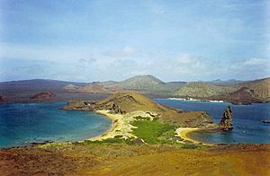 Galapagos