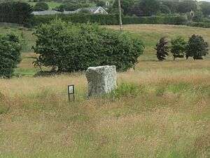 Glencullen Standing Stone