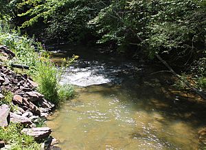 Green Creek in its upper reaches