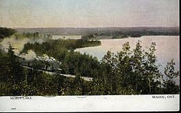 A landscape postcard with a white strip at the bottom, the words "Moira Lake" at left and "Madoc, Ont" at right, both immediately below the image. The foreground of the image depicts trees partially obscuring a rail track along which a train led by a steam locomotive enters from the middle left. At the top is a partially tinted sky meeting land at the horizon, and in the middle right the lake. A strait connects it to another part of the lake further to the left and nearer the horizon.