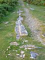 Haytor rails 2