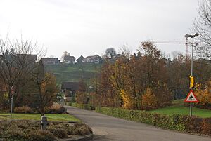 Hermetschwil 185