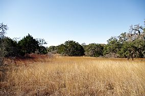 Hill Country State Natural Area.jpg