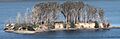Hog Island, Tomales Bay, Marin County, California