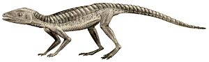 Hoplosuchus