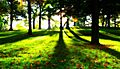 Humboldt park small hill - milwaukee