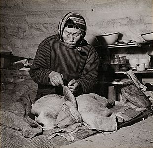 Inuit woman in an igloo making kamiit (sealskin boots), Inukjuak, Quebec Une femme inuite fabrique des kamiit (bottes en peau de phoque) dans un igloo à Inukjuak, au Québec (31163278870) (cropped)