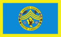 Jasper County Flag
