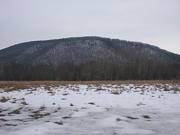 Knob Mountain (Pennsylvania) from the west.JPG