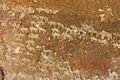 Kohaito, grotta di adi alauti con pitture rupestri databili al 2500 ac ca. 14 bestiame
