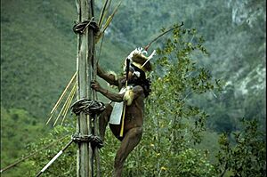 Kurulu Village War Chief