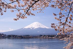 Lake Kawaguchiko Sakura Mount Fuji 3