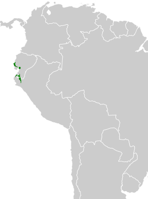 Leptotila ochraceiventris map.svg