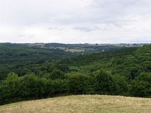 Lineover Woods - geograph.org.uk - 43919.jpg
