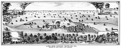 Llano Seco Rancho 1877 drawing