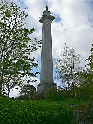 Marquess of Anglesey's Column - geograph.org.uk - 786189.jpg