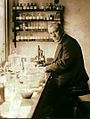 Martinus Willem Beijerinck in the lab in 1921