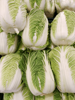 Napa cabbages.png
