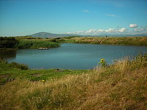 North Walney Nature Reserve - geograph.org.uk - 485092