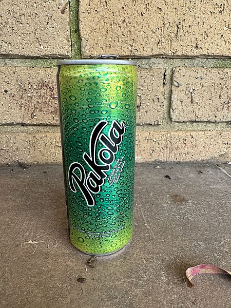 Pakola