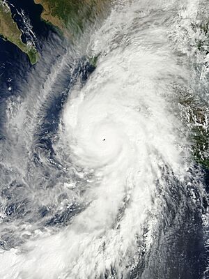 Patricia 2015-10-23 1730Z (Worldview)