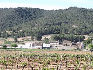 General view of Penén de Albosa