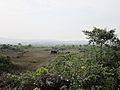 Phong cảnh trên đỉnh núi Bokor