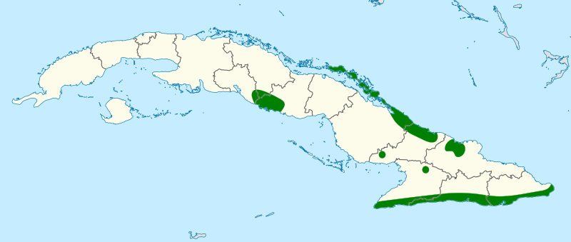 Polioptila lembeyei map
